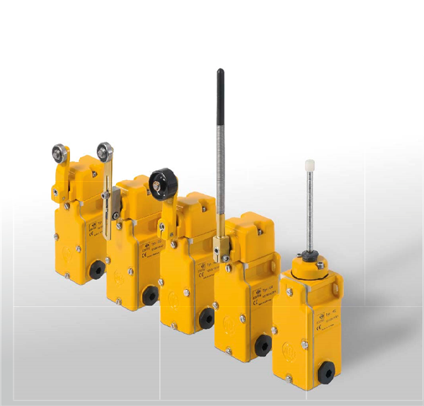 Robust Limit Switch VG